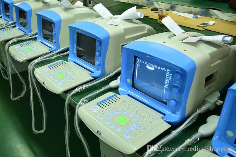Portable Veterinary Ultrasound System for Pregnancy Testing in Equine,  Ovine, Swine, Canine, and Bovine. – Wellue