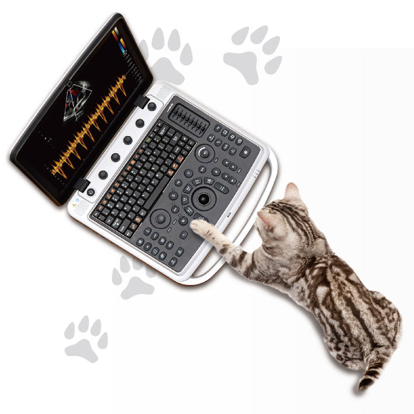Chison SonoBook9 VET | Veterinary Ultrasounds