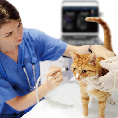 Chison Ebit 30Vet Animal Ultrasound Machine | Veterinary Ultrasounds