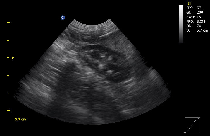 Chison ECO1Vet Equine Bovine Small Animal Ultrasound Machine | Veterinary Ultrasounds