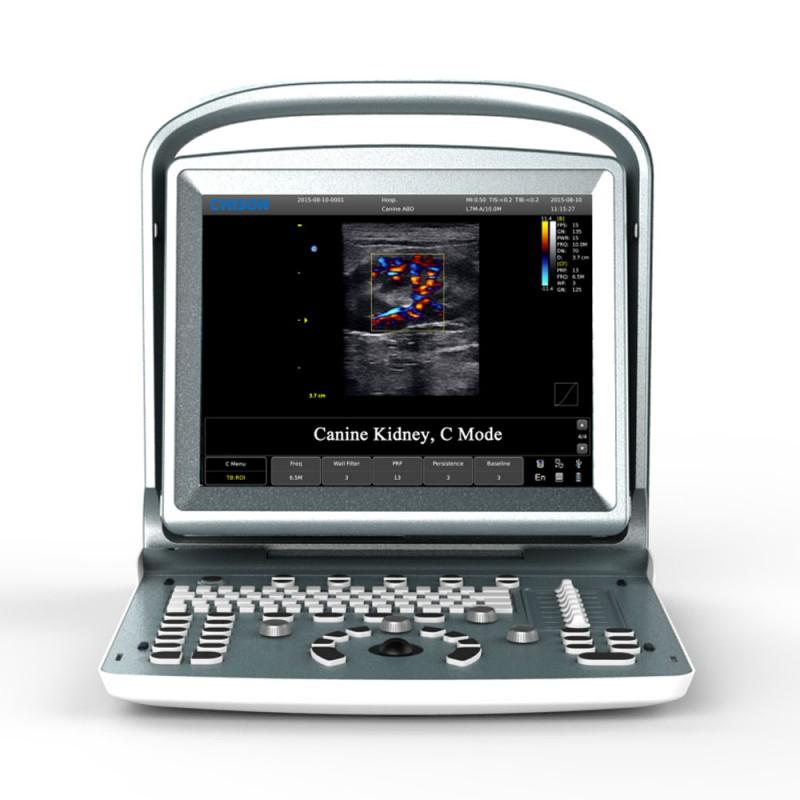 Chison ECO5Vet with Canine Kidney Color Doppler Image