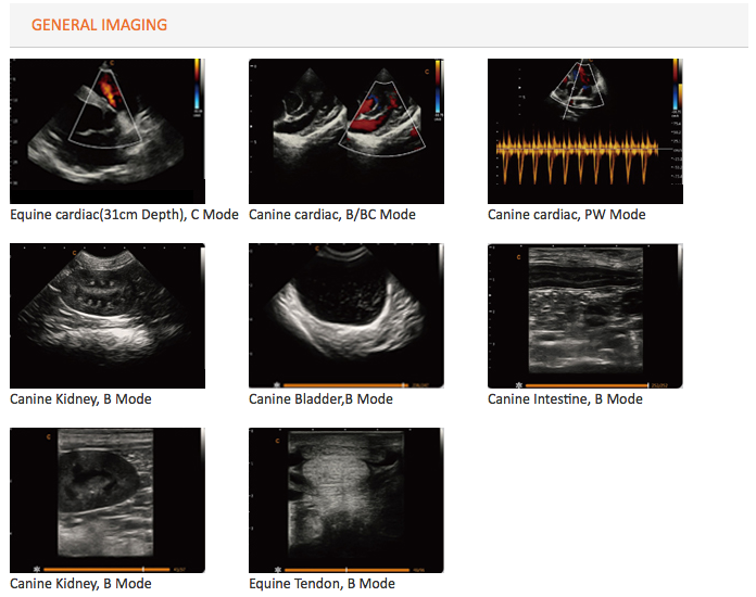 Chison SonoBook  6Vet