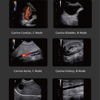 Chison SonoEye P3 VET Phased Array | Handheld Veterinary Ultrasounds