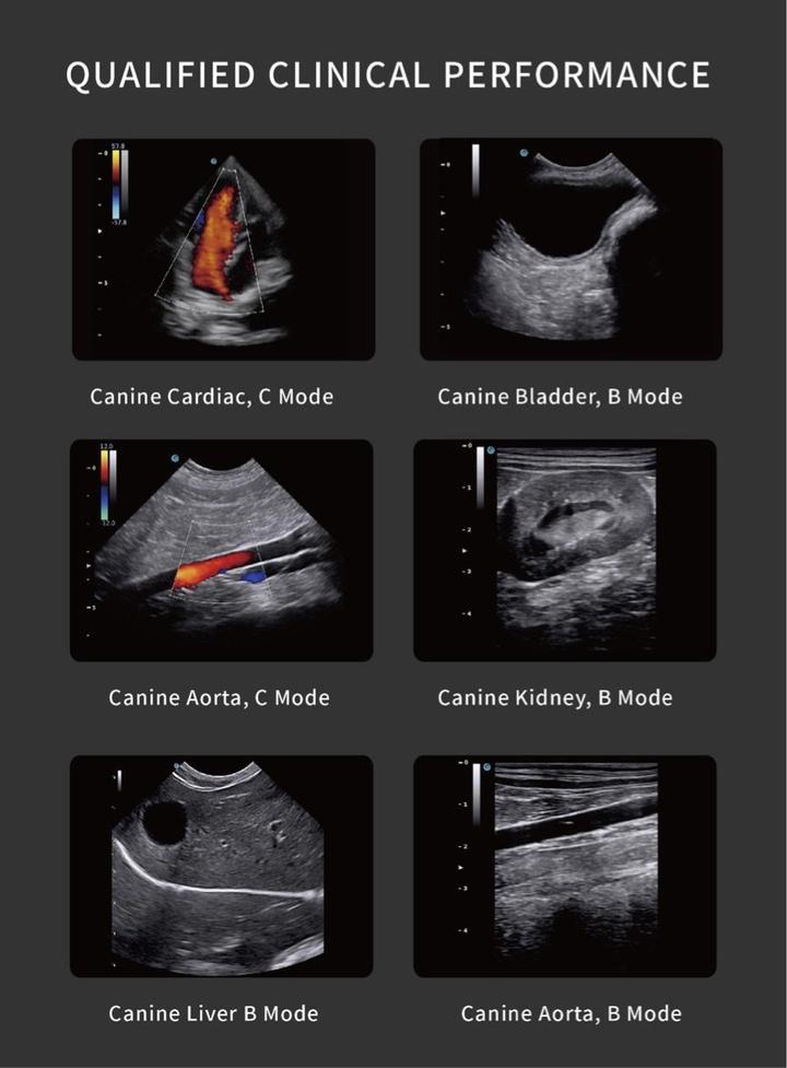 Chison SonoEye P2 VET Linear | Handheld Veterinary Ultrasounds