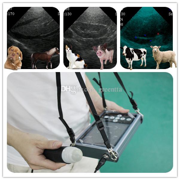 Palm Handheld Veterinary Vet Animal Echo Ultrasound Scanner Machine With Internal Battery, veterinary equipment,ultrasound scanne