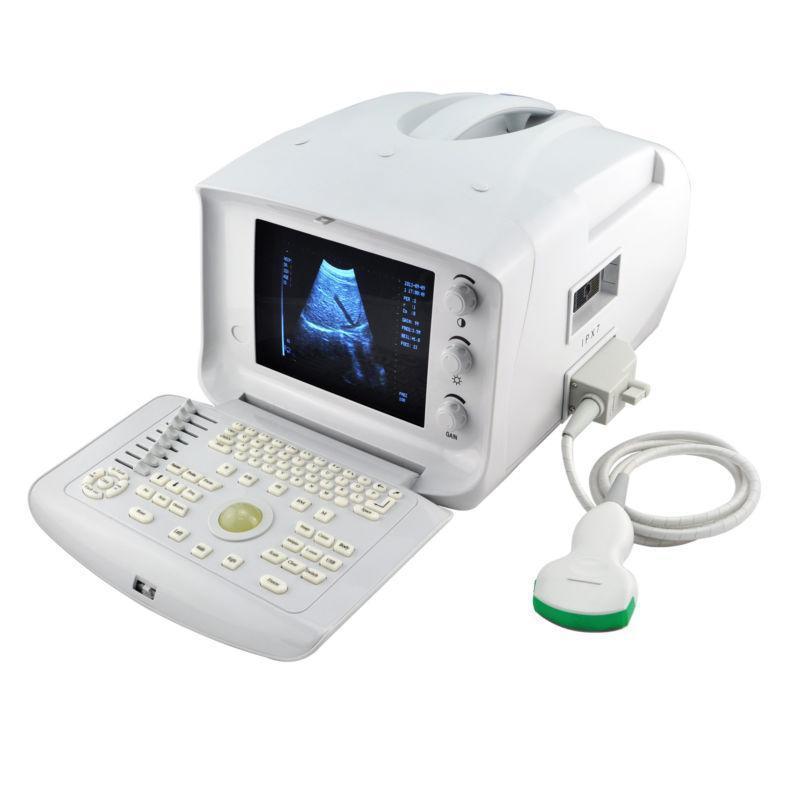 Veterinary VET Ultrasound machine scanner W 3.5mhz Convex PROBE 3D Module Sale