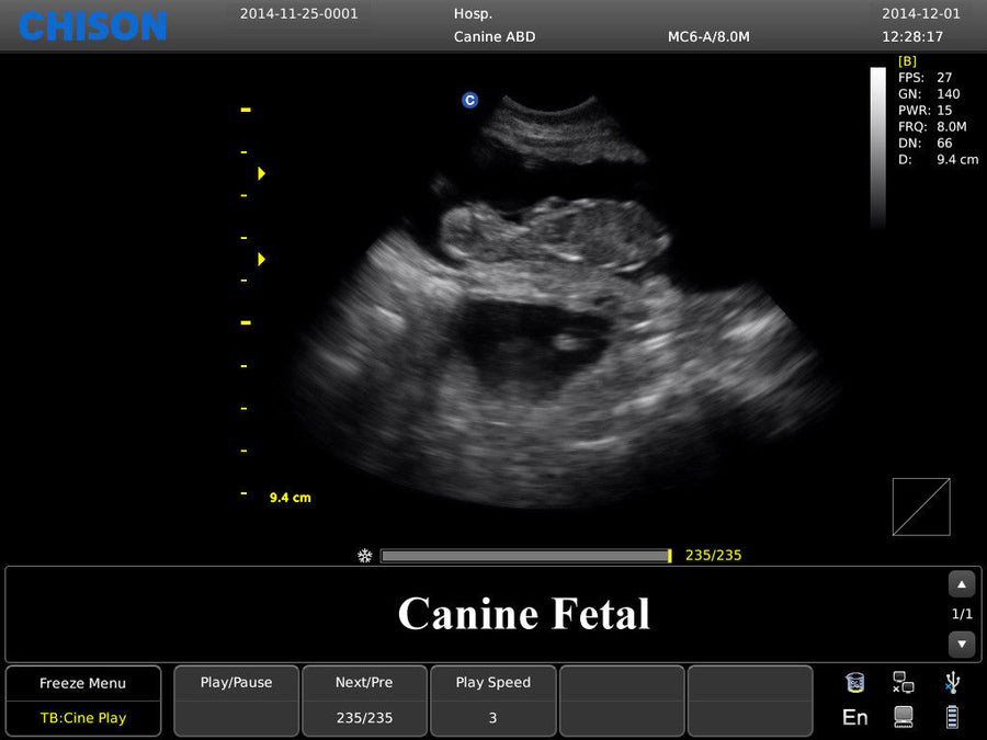 Chison ECO3 Ultrasound w/ 2 Probes and Accredited Veterinary Online Training