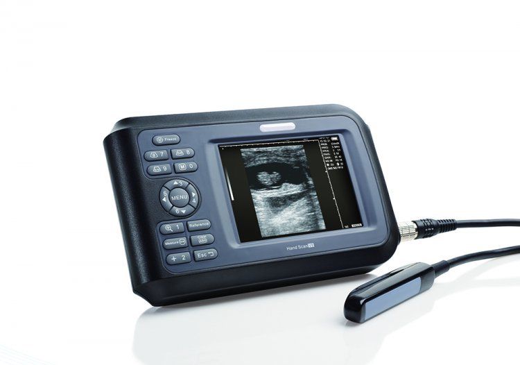 USA Veterinary handheld ultrasound scanner System cow/horse/Animal Rectal 6.5MHZ