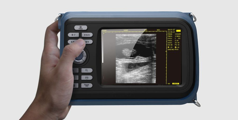 Veterinary Digital Handheld Ultrasound Scanner Machine+Rectal Probe Aminal IN CA