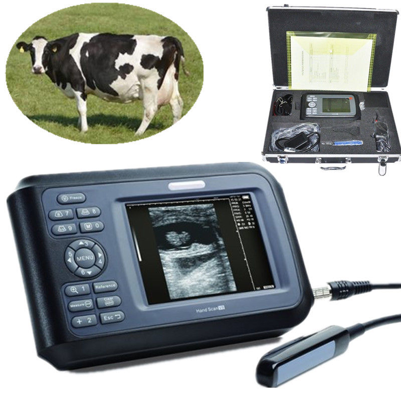 Vet 5.5'' Color Digital PalmSmart Ultrasound Scanner +Rectal Built-in 64 images