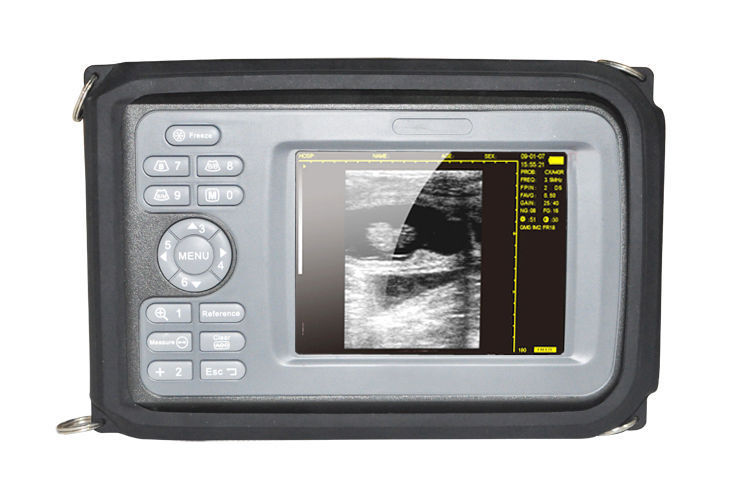 Vet Portable Smart Digital Ultrasound Scanner Machine Rectal Animal Cow horse CE 190891305459