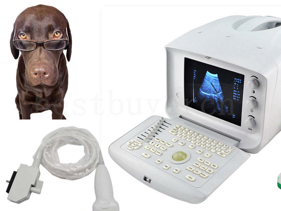 Portable vet used ultrasound scanner & animals ultrasound machine+Linear probe