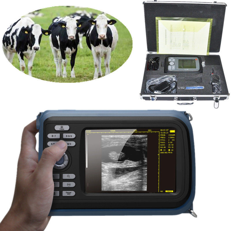 Vet 5.5'' Color Digital PalmSmart Ultrasound Scanner +Rectal Built-in 64 images