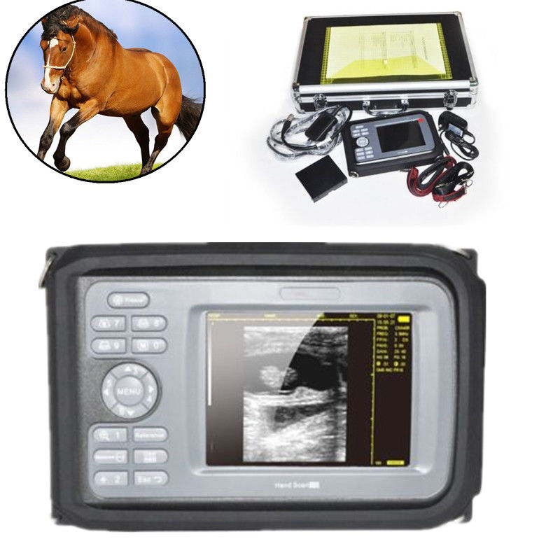 Vet 5.5'' Color Digital PalmSmart Ultrasound Scanner +Rectal Built-in 64 images