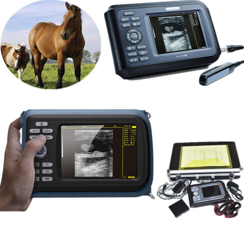 Vet 5.5'' Color Digital PalmSmart Ultrasound Scanner +Rectal Built-in 64 images