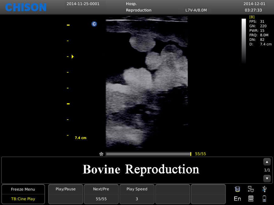 Chison ECO3 Ultrasound w/ 2 Probes and Accredited Veterinary Online Training