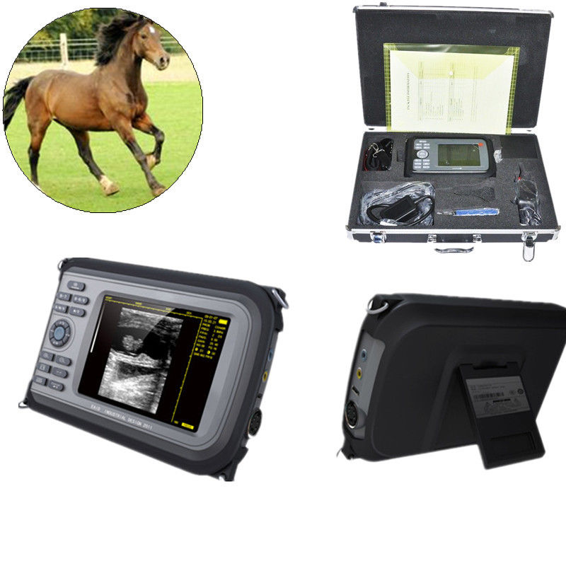 Vet 5.5'' Color Digital PalmSmart Ultrasound Scanner +Rectal Built-in 64 images