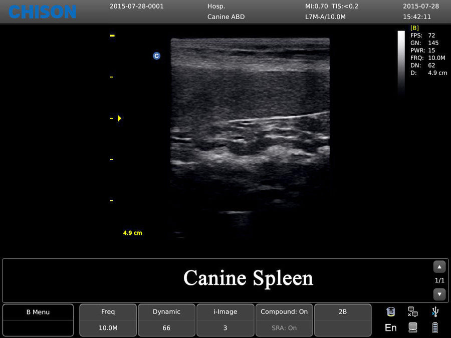 Chison ECO3 Ultrasound w/ 2 Probes and Accredited Veterinary Online Training