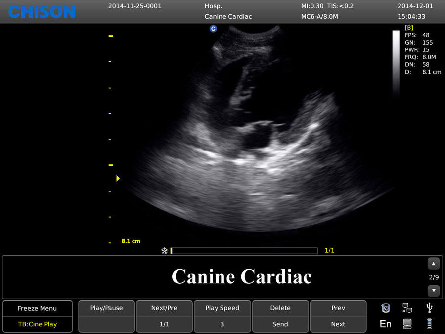 Chison ECO3 Ultrasound w/ 2 Probes and Accredited Veterinary Online Training