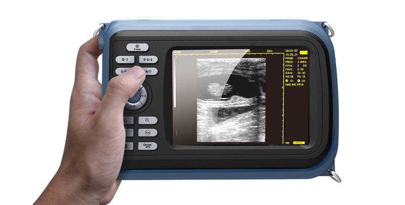 Veterinary Digital Palmtop Ultrasound Scanner Animal Rectal Probe Battery SPO2 190891915115