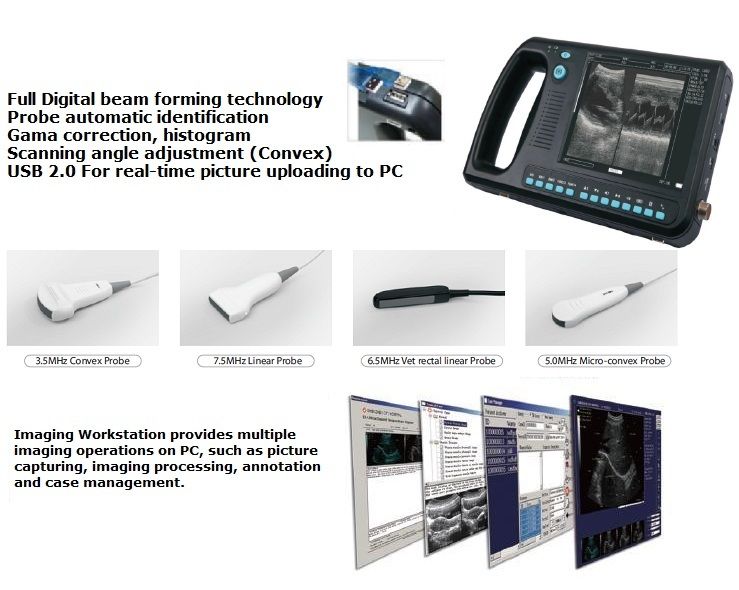 Veterinary Ultrasound 3000V with TWO Transducers , Extra Battery - USA Warranty