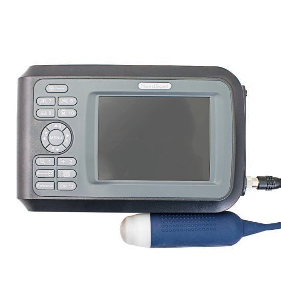 USA Portable Laptop Ultrasound Scanner Machine Handscan Animal Veterinary +case 190891042989